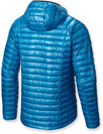 Back View (Dark Compass)