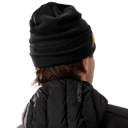 Arc'teryx Bird Word Toque 2