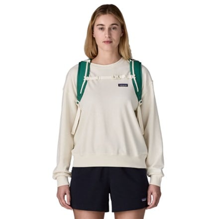 Patagonia Refugio 32L Pack 5