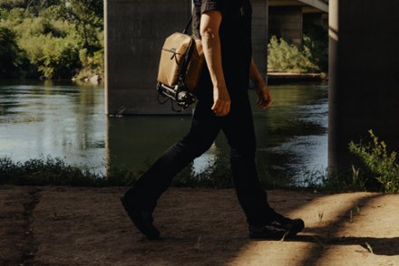 Location Image of color Coyote