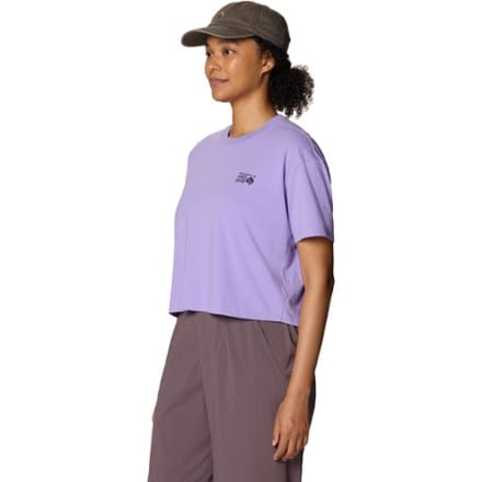 Mountain Hardwear MHW Logo Boxy Crop Shirt - Women's 5