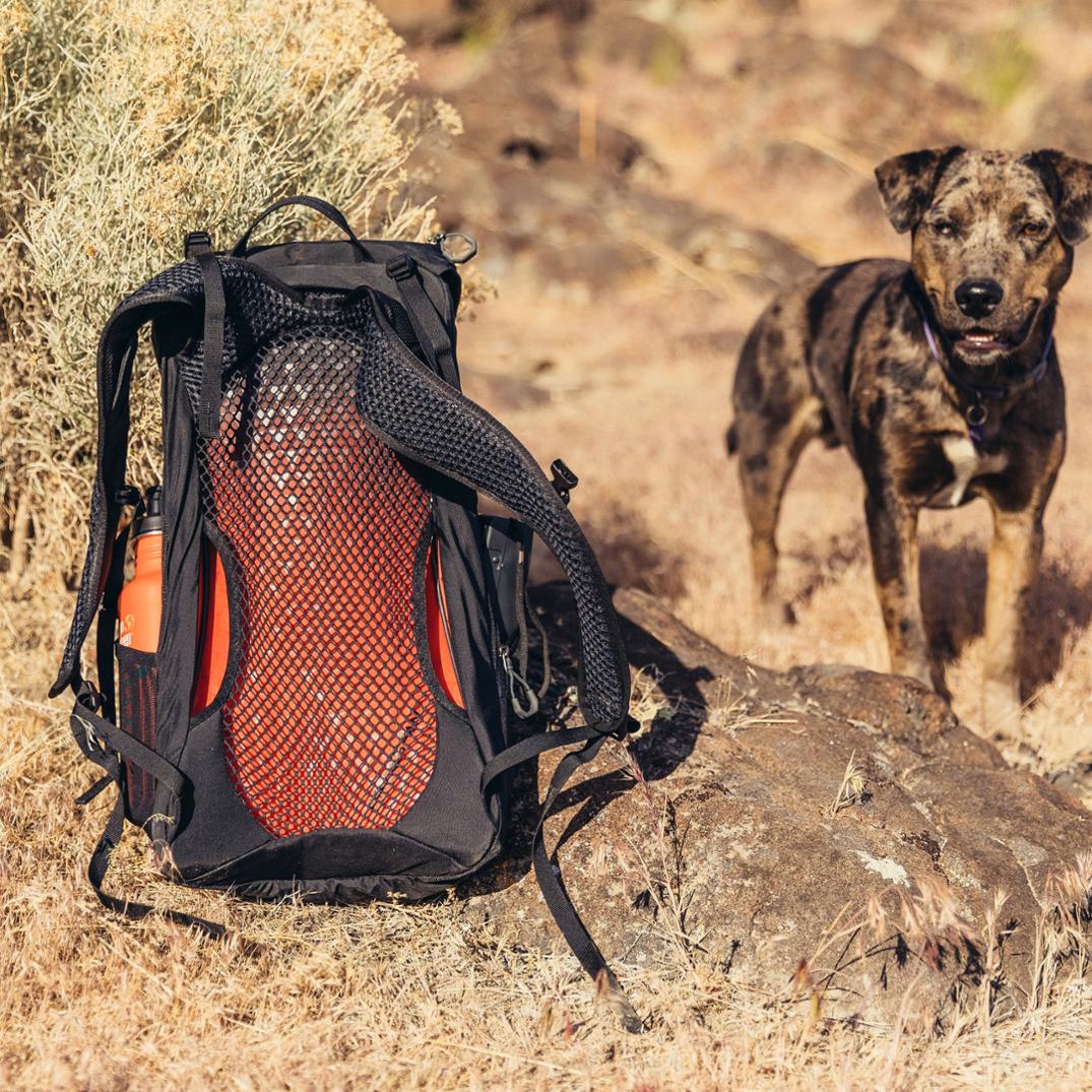 Location Image for Arrio 18 Pack