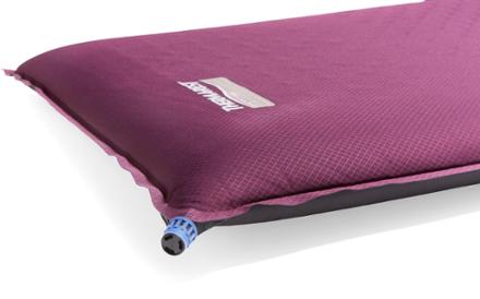 Detail View (Italian Plum)