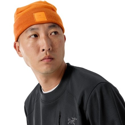Arc'teryx Color Block Toque 4