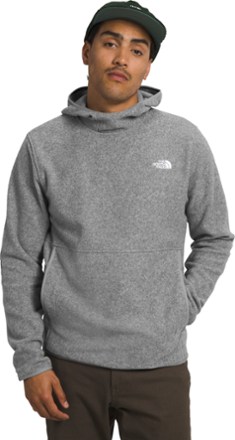 The North Face Alpine Polartec 100 Fleece Pullover - Men's 1