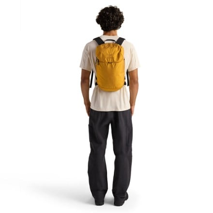 Arc'teryx Konseal 15 Pack 3