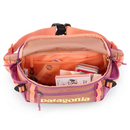 Patagonia Black Hole Waist Pack 5 L | REI Co-op
