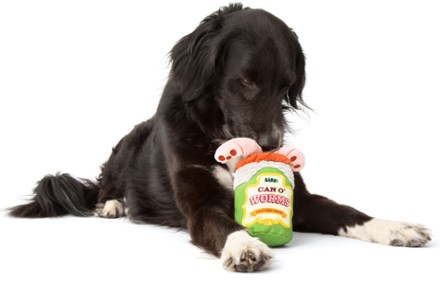 Bark Doggone Fishin' Plush Dog Toy 3