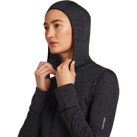 Icebreaker Merino Blend 200 RealFleece Descender Long-Sleeve Zip Hoodie - Women's 4