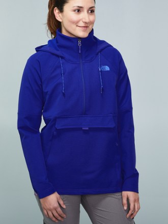 the north face women's tekno ridge hoodie