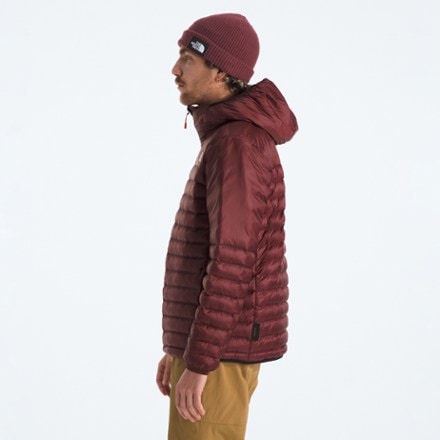 The North Face Terra Peak Insulated Hoodie - Men's 4