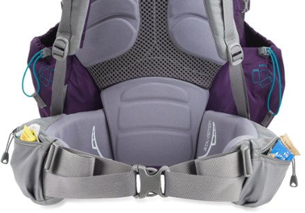 ActivMotion hipbelt (Dark Grape)