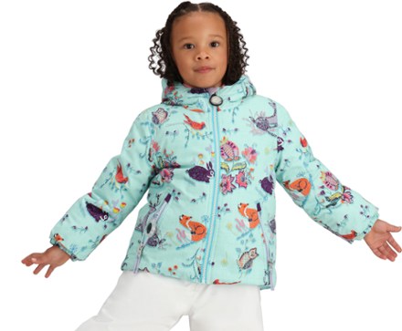 Obermeyer Ashor Insulated Jacket - Toddlers' 1