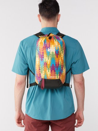 REI Co-op Flash 18 Pack - Pride Graphic Edition 3