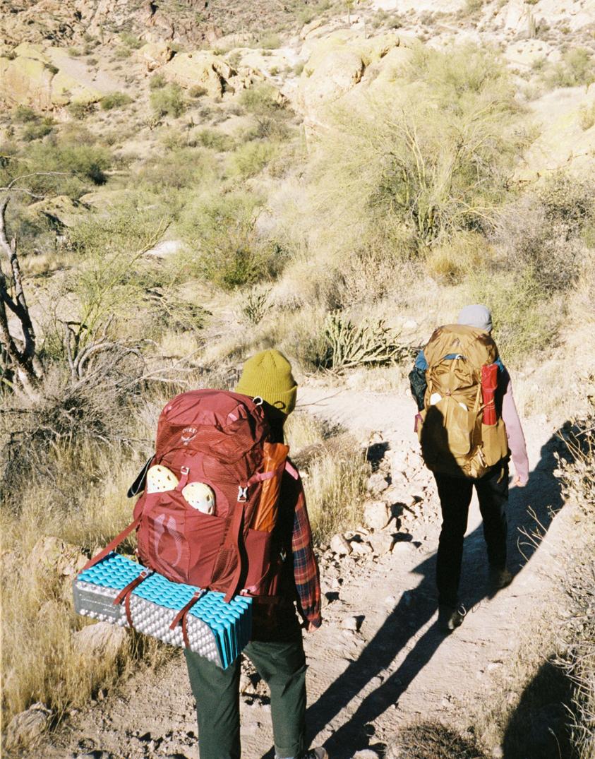 Location Image for Aura AG 50 Pack - Women's