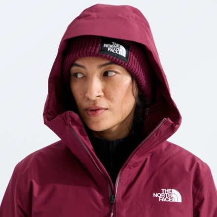 The North Face Hikesteller Insulated Parka - Women's 3