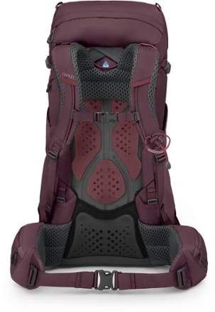Kyte 38 Pack - Women's