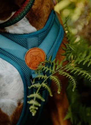 Wilderdog Dog Harness 5