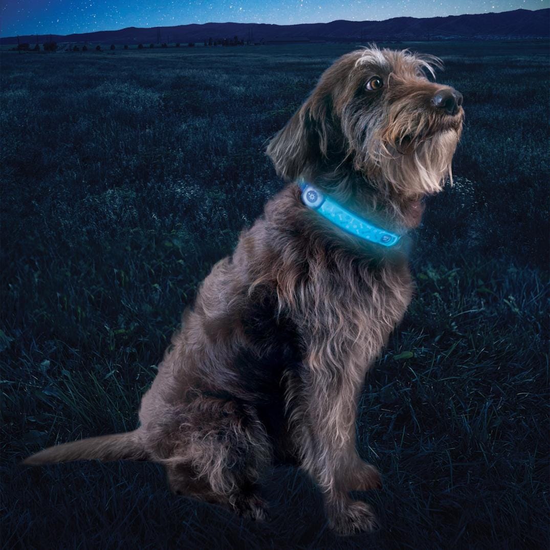 Location Image for NiteDog Disc-O Select Rechargeable LED Collar Cover