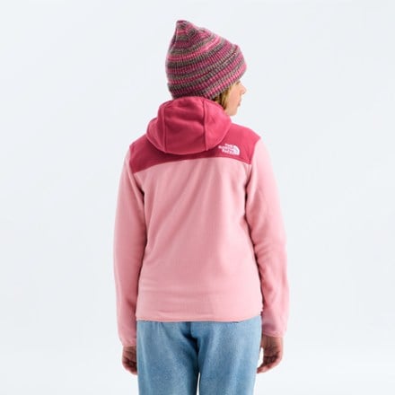The North Face Glacier Full-Zip Hoodie - Kids' 1
