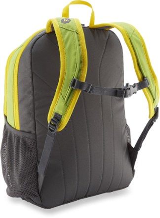 Suspension View (Green Lichen)