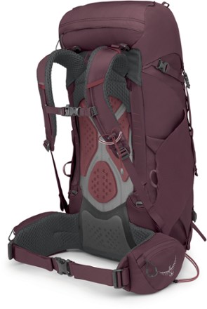 Kyte 38 Pack - Women's