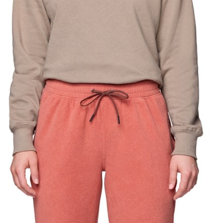 Mountain Hardwear Microchill Joggers - Women's 4