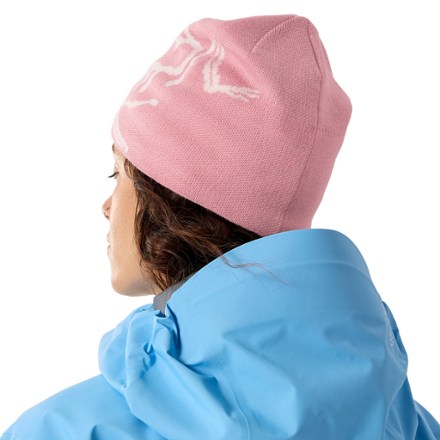 Arc'teryx Bird Head Toque Beanie 2