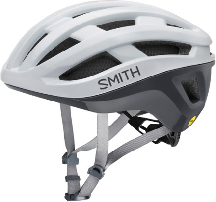 Smith Persist MIPS