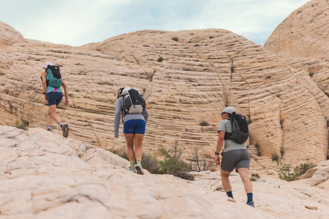 Location Image for Lone Peak 8 Trail-Running Shoes - Women's