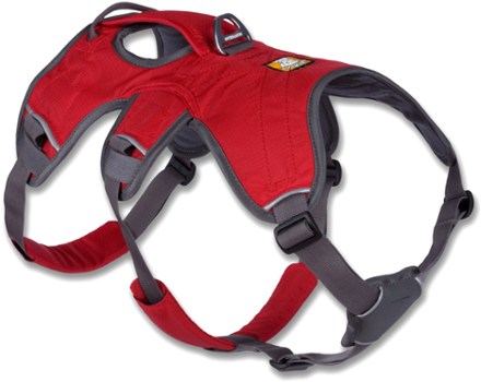 ruffwear harness