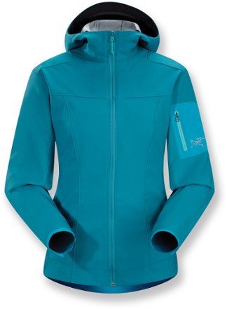 新 デザインメンズ - 【廃盤希少】Arc'teryx EPSILON SV HOODY