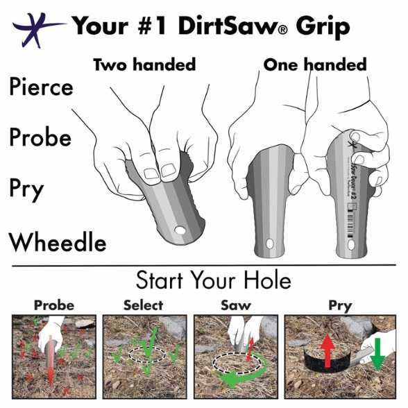 Infographic Image of color Fire