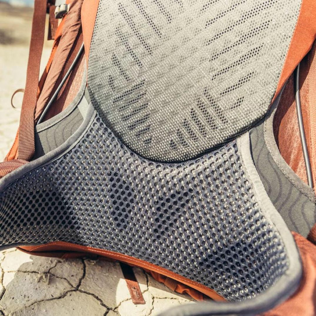 Location Image for Maven 55 Pack - Closeout - Women's