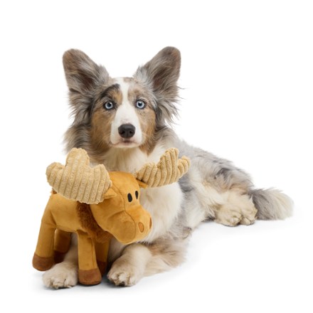 National Park Plush Dog Toy
