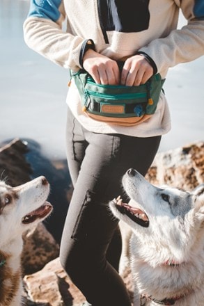 Location Image for Dog Walking Utility Pack