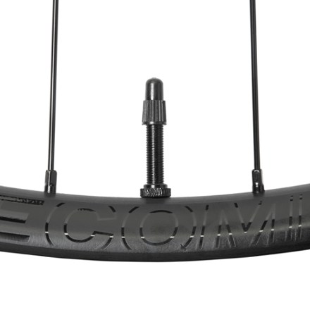 Bontrager Line Comp 30 TLR Boost 29 MTB Wheel | REI Co-op