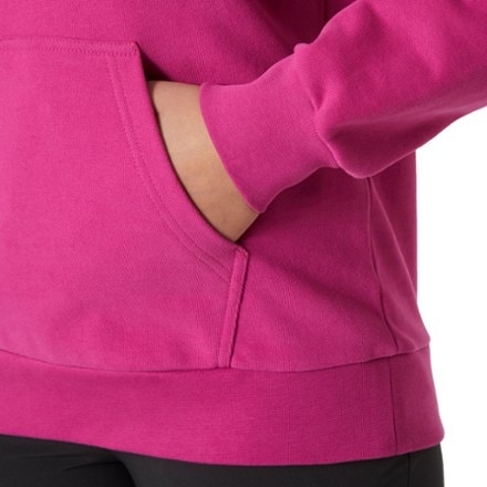 Helly Hansen H/H Logo Hoodie 2.0 - Women's 4