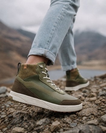 Location Image of color Olive