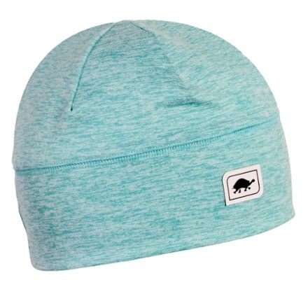 Turtle Fur Brain Shroud Beanie 0