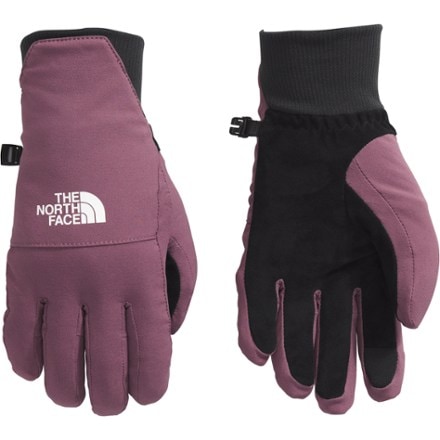 The North Face Shelbe Raschel Etip Gloves - Women's 0