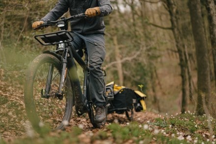 Burley Coho XC Cargo Trailer 10