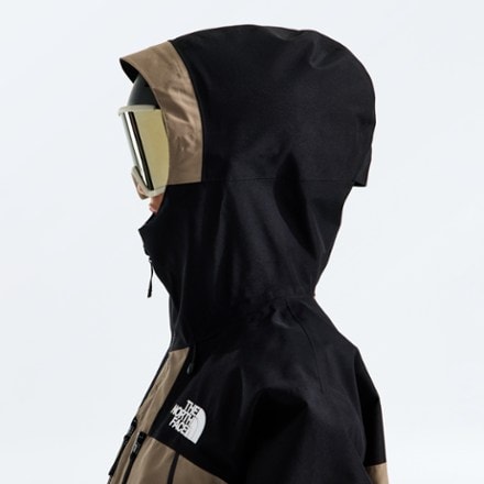 The North Face GTX Hex Jacket - Women's 4