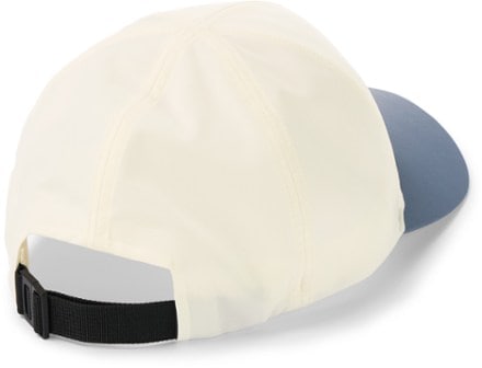 Arc'teryx Bird Word Cap 1