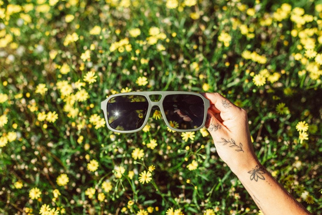 Location Image for Paladino Polarized Sunglasses