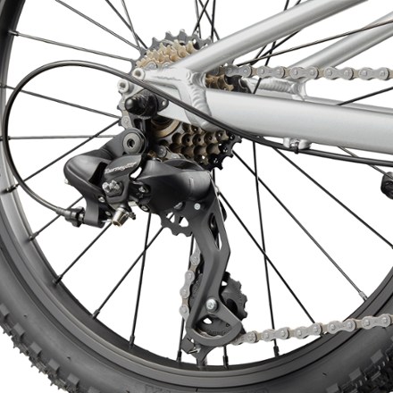 Cannondale Trail 20 Kids' Bike 1