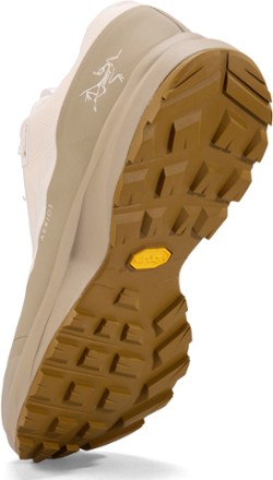 Arc'teryx Aerios FL 2 GTX Hiking Shoes 4