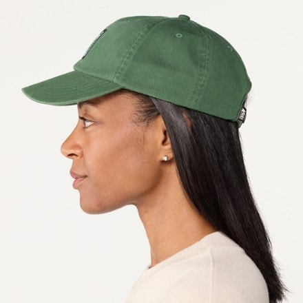 REI Co-op Public Lands Cap 1
