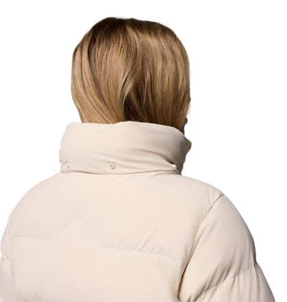 Columbia Amaze Puff Down Hooded Jacket - Women's 5