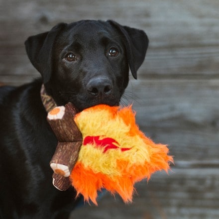 Play Pet Brands Camp Corbin Cozy Campfire Dog Toy 6